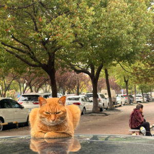 18｜创作是可以学习的吗？以及我是独一无二的吗？