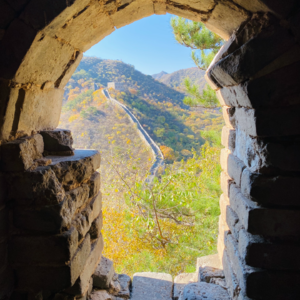 046. 三十五岁的两种死亡：勇气消失后与颠覆自我前