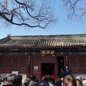 05. 和复旦老师聊了100分钟,我离成仙只差吃了丨许蔚×段志强