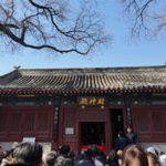 05. 和复旦老师聊了100分钟，我离成仙只差吃了丨许蔚×段志强