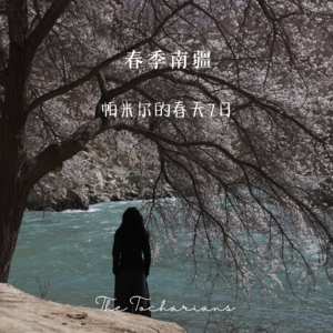 26年第一期，帕米尔的春天怎么玩？