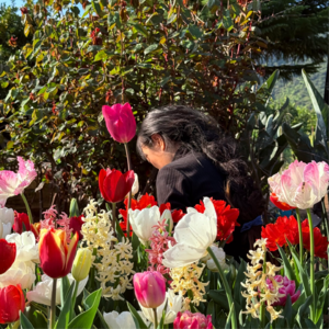 11🇨🇱跨越大陆的生活方式：一个中国女生在智利的多面生活