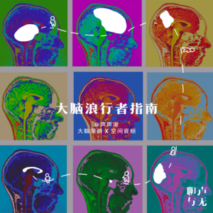 声声漫｜大脑浪行者指南