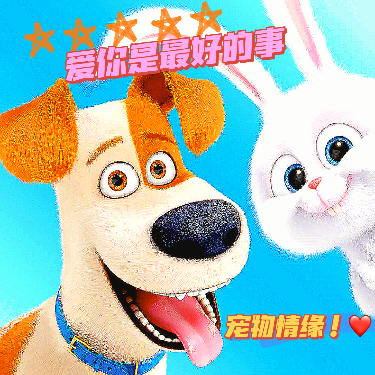 宠物情缘：爱你，是我们做过的最好的事 episode artwork