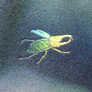 在 3.31 平方米里，解构都市人的“户外基因 ft.TSUBO Max