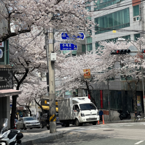 日常｜你这期出去真的小心一点