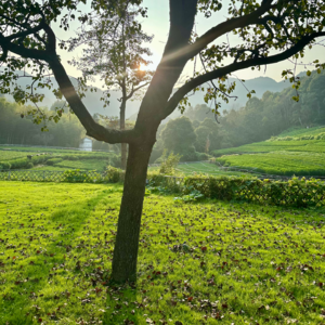 #40 不想辜负每一个人,是辜负自己的开始