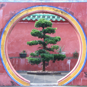 Vol.10 海南环岛记:隐藏的古建大省(上)