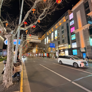 第三期-上海淮海中路（5）