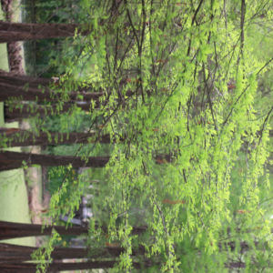 读书推荐｜与万物沉浮于生长之门