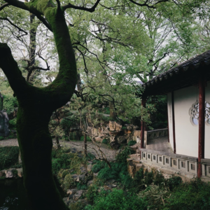 第二十一期 沧浪亭:苏州最古的园林,藏着一群硬骨头?