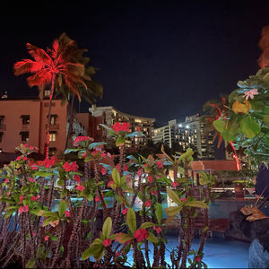 从985到top50：我diy国际转学的血泪史