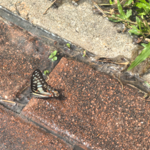 No.168 【洞洞音乐调频】台风天听什么?感受湿润的锈味与内心的躁动