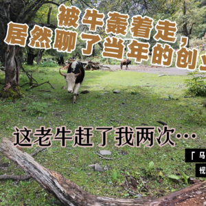 31，被牛轰着走，居然聊了当年的创业史