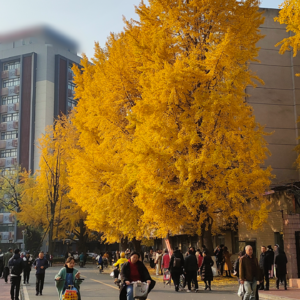 81.北京、暖气和班味儿:将世界变小,回归真实的生活