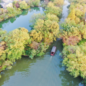 No.14|龙旗小宇宙NO.14 | 如何在不确定性中寻找确定性？