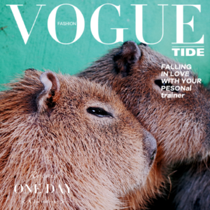 ig.「正经事」冬天逛动物园是它冷还是我冷？