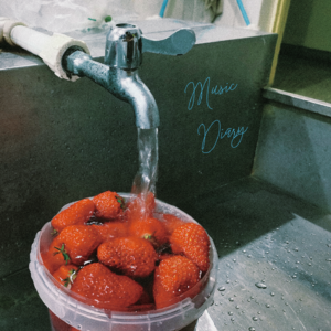 #5-自习歌单 | Becoming Ferromagnetic 中场休息