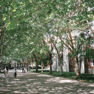 VOL.5 | 没有人会一直“毕业”,但永远有人正在"毕业"!