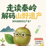 走读秦岭2：解码山野遗产如何成就百亿产业？