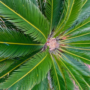 神曲20（净界·第16-17篇）