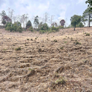 EP09｜所谓旷野的探求，就是一边迷茫一边做事（下集）