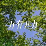 尹晗晴