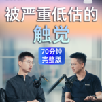 Vol.7 对话戴盟机器人创始人段江哗：被严重低估的触觉