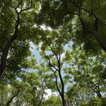 蜡笔胖头