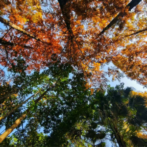 21.言说的距离与中断