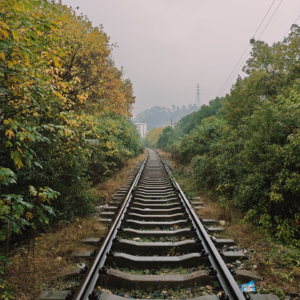 鬼台第483期:选择一种气味