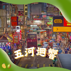 E37. 天知地知只有你知：香港九龙女婴失踪疑案