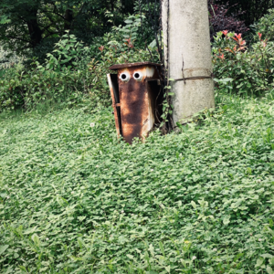 Vol.30 旷野迷雾 | 率先抵达“旷野”的人已经迷路了吗？一些开车和睡前的啰哩吧嗦喃喃自语