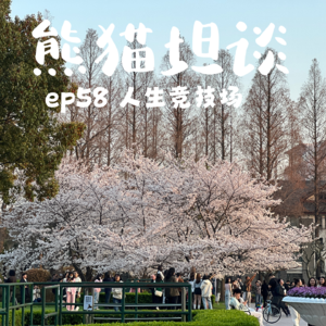 58.先慢后快，人生是场耐力赛 |《赛车总动员》系列