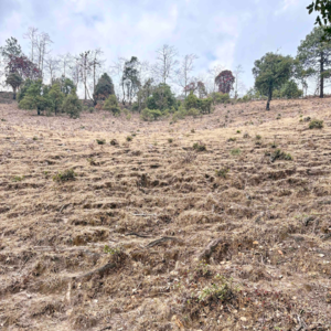 EP08｜所谓旷野的探求，就是一边迷茫一边做事 （上集）