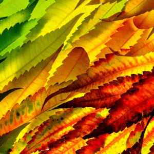 EP97 全球股票机器学习资产定价模型