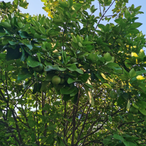 VOL164.只要能让你变得快乐宁静的，就是你的药。