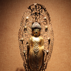 No 159. 渺渺大象、日本国宝展、莲开八方，被这场魏老师的访谈串在了一起