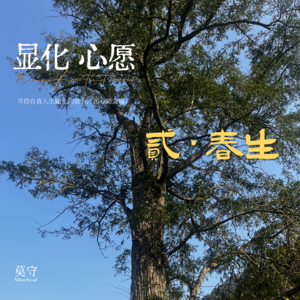 【MineSoul蛇年财运特辑】习得显化的力量——春、起心动念