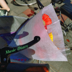 #8-春日歌单 | 我那迟迟未来的春天