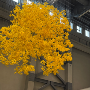 15 和AI纠缠，与眼泪共处｜12月声音日记1