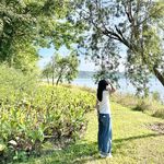 小橙橙橙橙