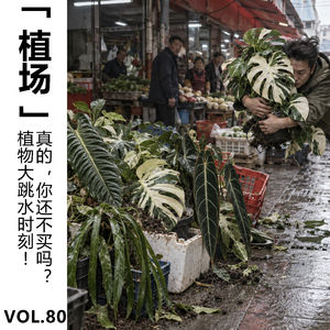 Vol.80【植场】植物大跳水时刻!真的,你还不买吗?