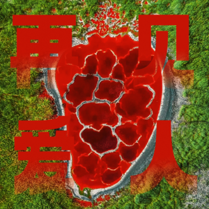 2.《再见爱人》走进亮子隶学(下)