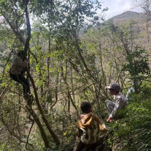 038 云南还可以这么玩：滇东南寻岩之旅，比攀岩更多的是什么