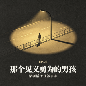 EP50.那个见义勇为的男孩：深圳潘予优被害案