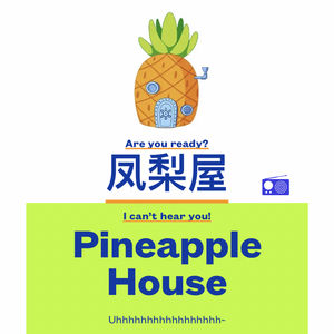 凤梨屋