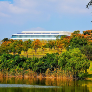 Vol003：华为故事 | 贝尔实验室：任正非的别样爱情