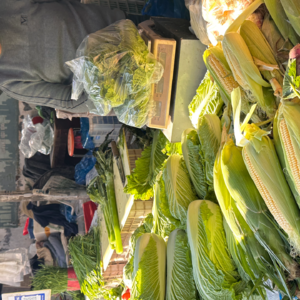 16｜阳台上的“时间窖藏”：冬储之味与精神速食