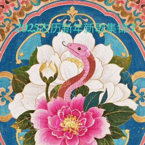 2025农历新年新歌集锦.1